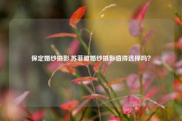 保定婚纱摄影,苏菲雅婚纱摄影值得选择吗？