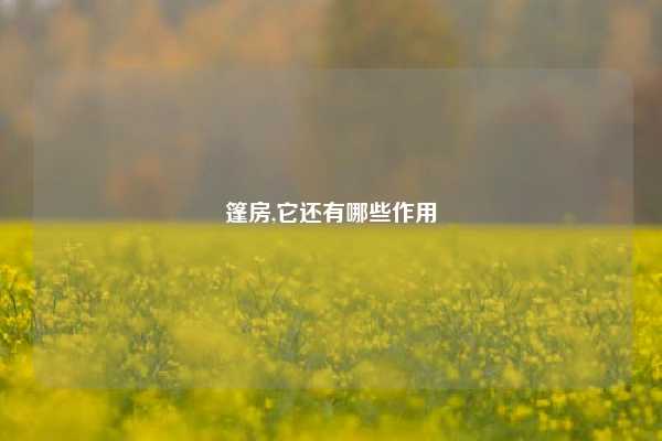 篷房,它还有哪些作用