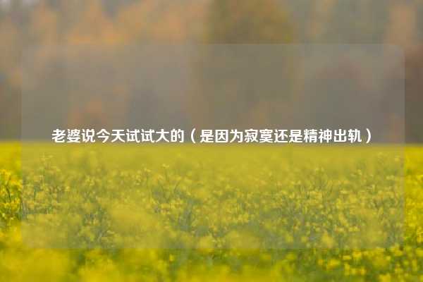 老婆说今天试试大的(是因为寂寞还是精神出轨)
