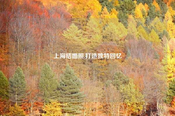 上海结婚照,打造独特回忆