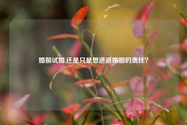 婚前试婚,还是只是想逃避婚姻的责任?