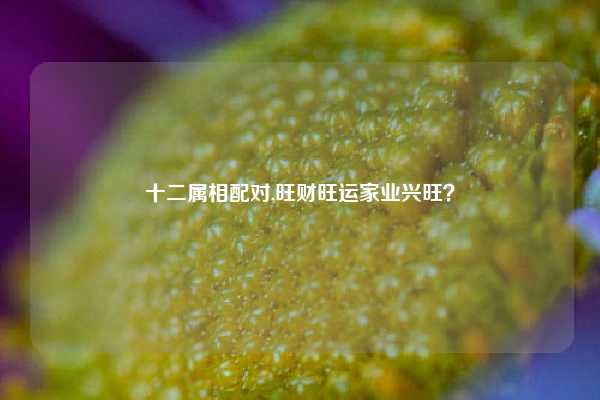 十二属相配对,旺财旺运家业兴旺？