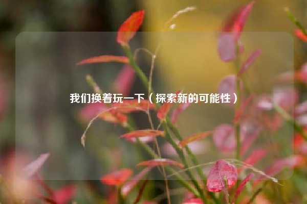 我们换着玩一下（探索新的可能性）