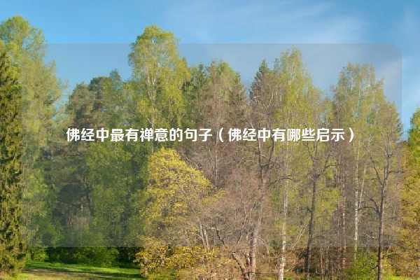 佛经中最有禅意的句子（佛经中有哪些启示）