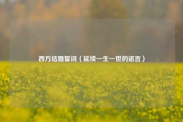 西方结婚誓词（延续一生一世的诺言）
