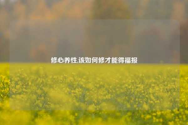 修心养性,该如何修才能得福报
