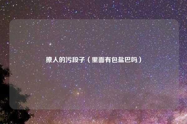 撩人的污段子（里面有包盐巴吗）