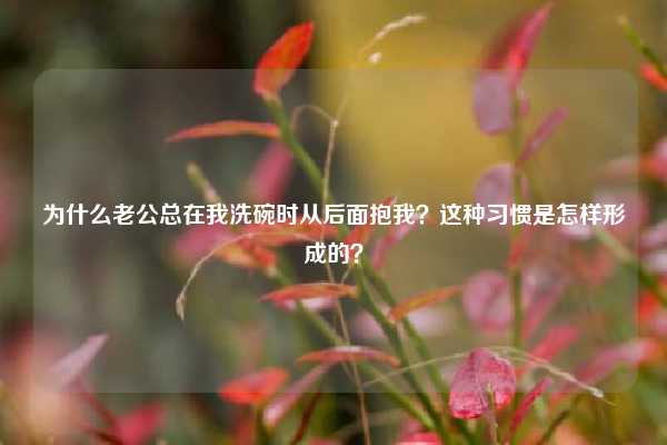 为什么老公总在我洗碗时从后面抱我？这种习惯是怎样形成的？