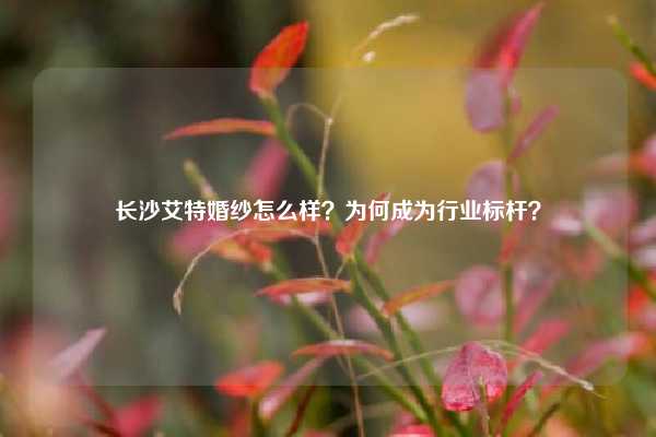 长沙艾特婚纱怎么样?为何成为行业标杆?