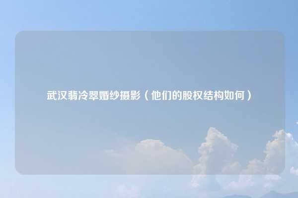 武汉翡冷翠婚纱摄影(他们的股权结构如何)