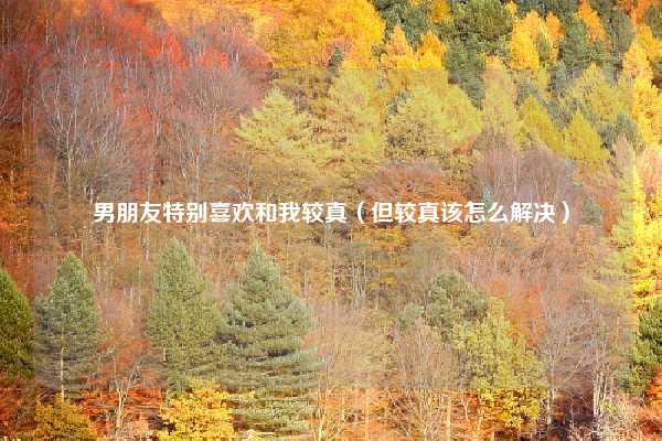男朋友特别喜欢和我较真(但较真该怎么解决)