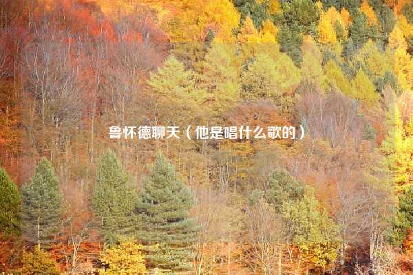 鲁怀德聊天（他是唱什么歌的）