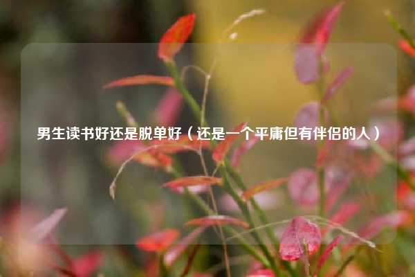 男生读书好还是脱单好（还是一个平庸但有伴侣的人）
