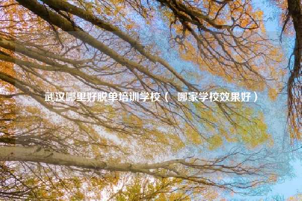 武汉哪里好脱单培训学校（  哪家学校效果好）