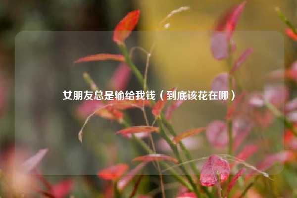 女朋友总是输给我钱（到底该花在哪）