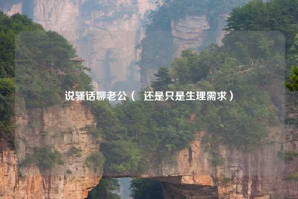 说骚话聊老公（  还是只是生理需求）
