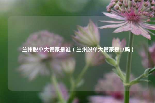 兰州脱单大管家是谁(兰州脱单大管家是TA吗)