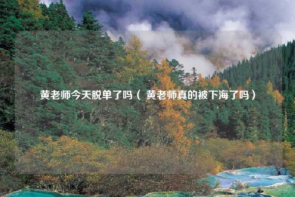 黄老师今天脱单了吗（ 黄老师真的被下海了吗）