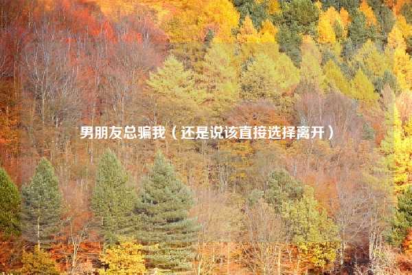 男朋友总骗我（还是说该直接选择离开）