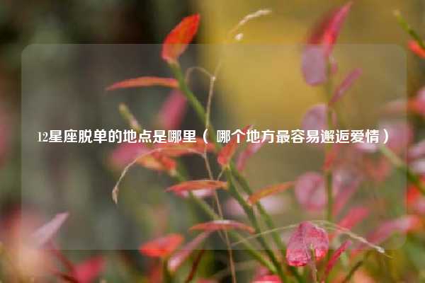 12星座脱单的地点是哪里（ 哪个地方最容易邂逅爱情）