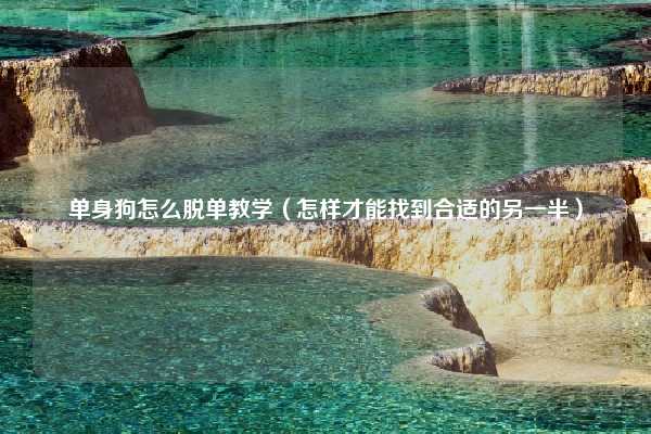 单身狗怎么脱单教学（怎样才能找到合适的另一半）