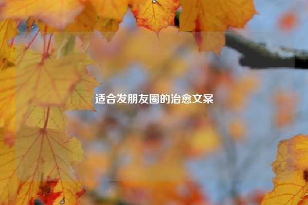 适合发朋友圈的治愈文案