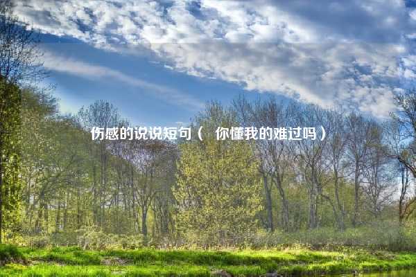 伤感的说说短句（  你懂我的难过吗）