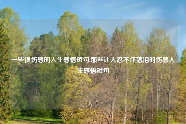 一些很伤感的人生感悟短句,那些让人忍不住落泪的伤感人生感悟短句