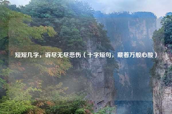 短短几字，诉尽无尽悲伤（十字短句，藏着万般心酸）