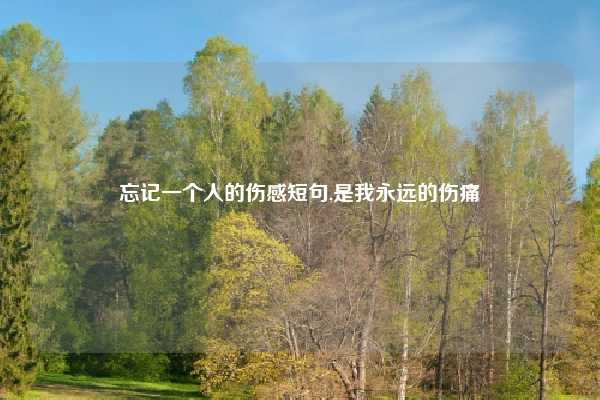 忘记一个人的伤感短句,是我永远的伤痛