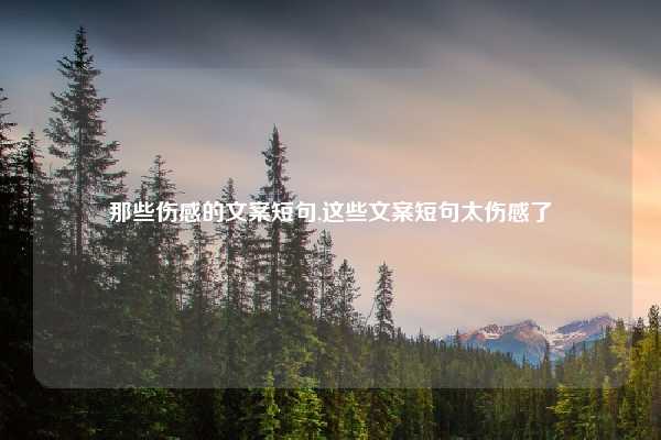 那些伤感的文案短句,这些文案短句太伤感了