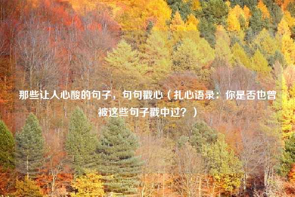那些让人心酸的句子，句句戳心（扎心语录：你是否也曾被这些句子戳中过？）