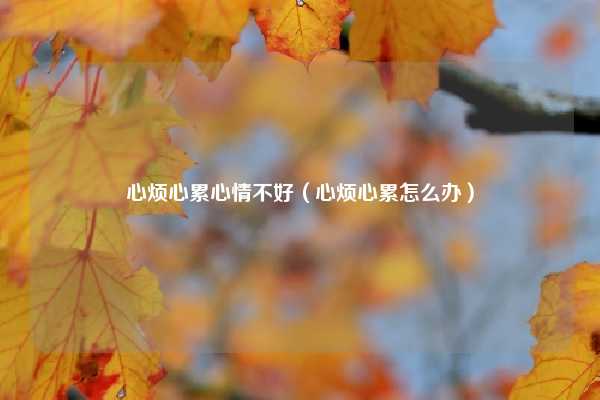 心烦心累心情不好(心烦心累怎么办)