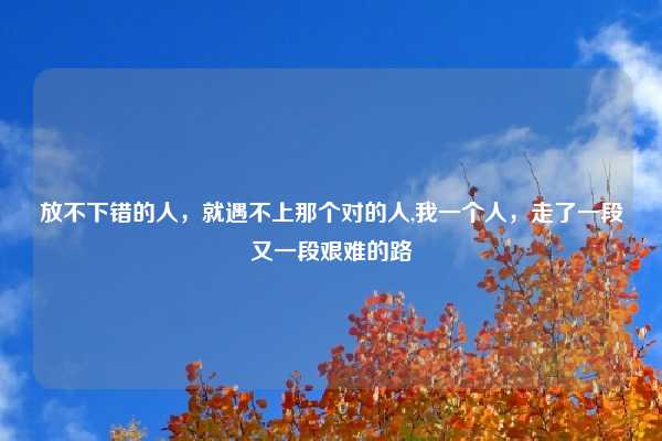 放不下错的人，就遇不上那个对的人,我一个人，走了一段又一段艰难的路