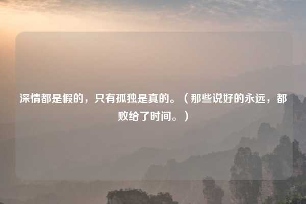 深情都是假的，只有孤独是真的。（那些说好的永远，都败给了时间。）