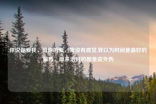 你说你爱我，可你的爱，我没有感觉,我以为时间是最好的偏方，原来治好的都是皮外伤