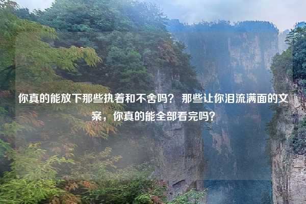 你真的能放下那些执着和不舍吗? 那些让你泪流满面的文案,你真的能全部看完吗?