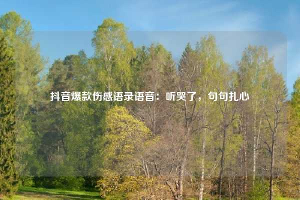 抖音爆款伤感语录语音：听哭了，句句扎心