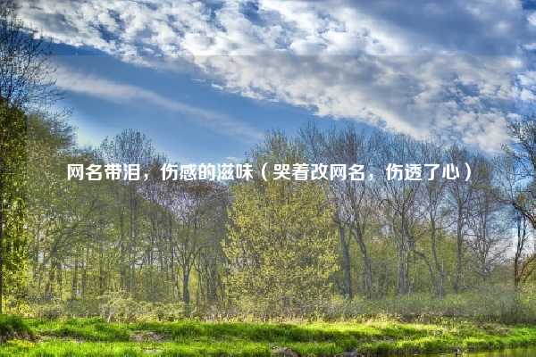 网名带泪，伤感的滋味（哭着改网名，伤透了心）