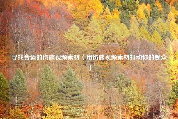 寻找合适的伤感视频素材（用伤感视频素材打动你的观众）