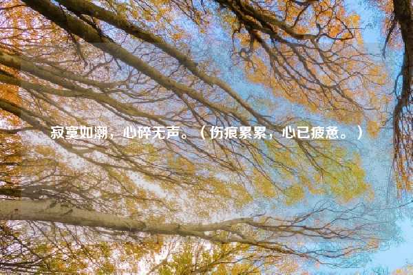 寂寞如潮，心碎无声。（伤痕累累，心已疲惫。）