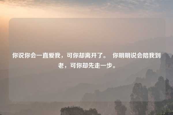 你说你会一直爱我，可你却离开了。  你明明说会陪我到老，可你却先走一步。