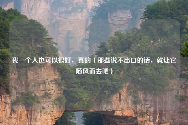 我一个人也可以很好,真的(那些说不出口的话,就让它随风而去吧)