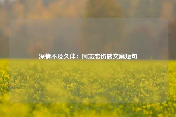 深情不及久伴：同志恋伤感文案短句