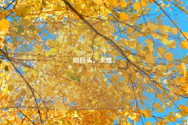 别回头，太难。