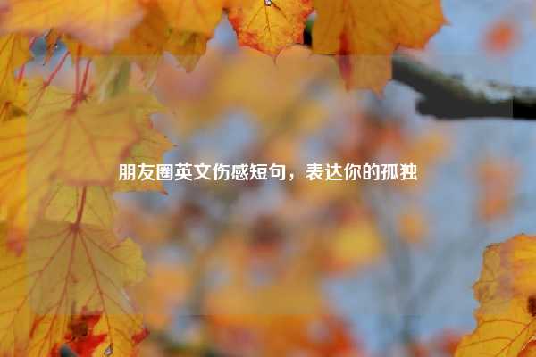 朋友圈英文伤感短句，表达你的孤独