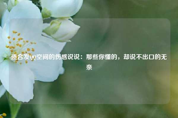 适合发QQ空间的伤感说说：那些你懂的，却说不出口的无奈