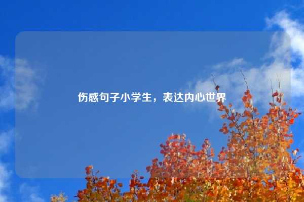 伤感句子小学生,表达内心世界
