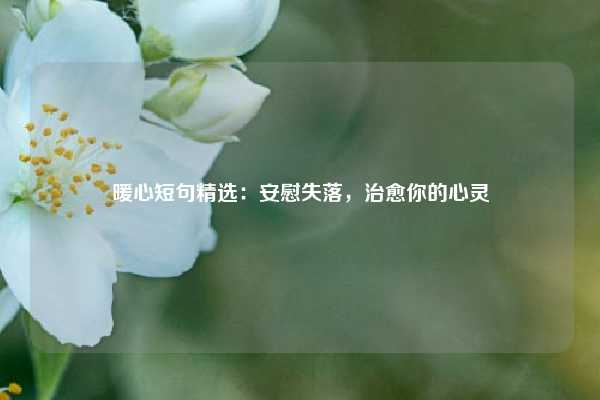 暖心短句精选：安慰失落，治愈你的心灵