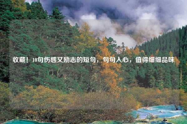 收藏!10句伤感又励志的短句,句句入心,值得细细品味